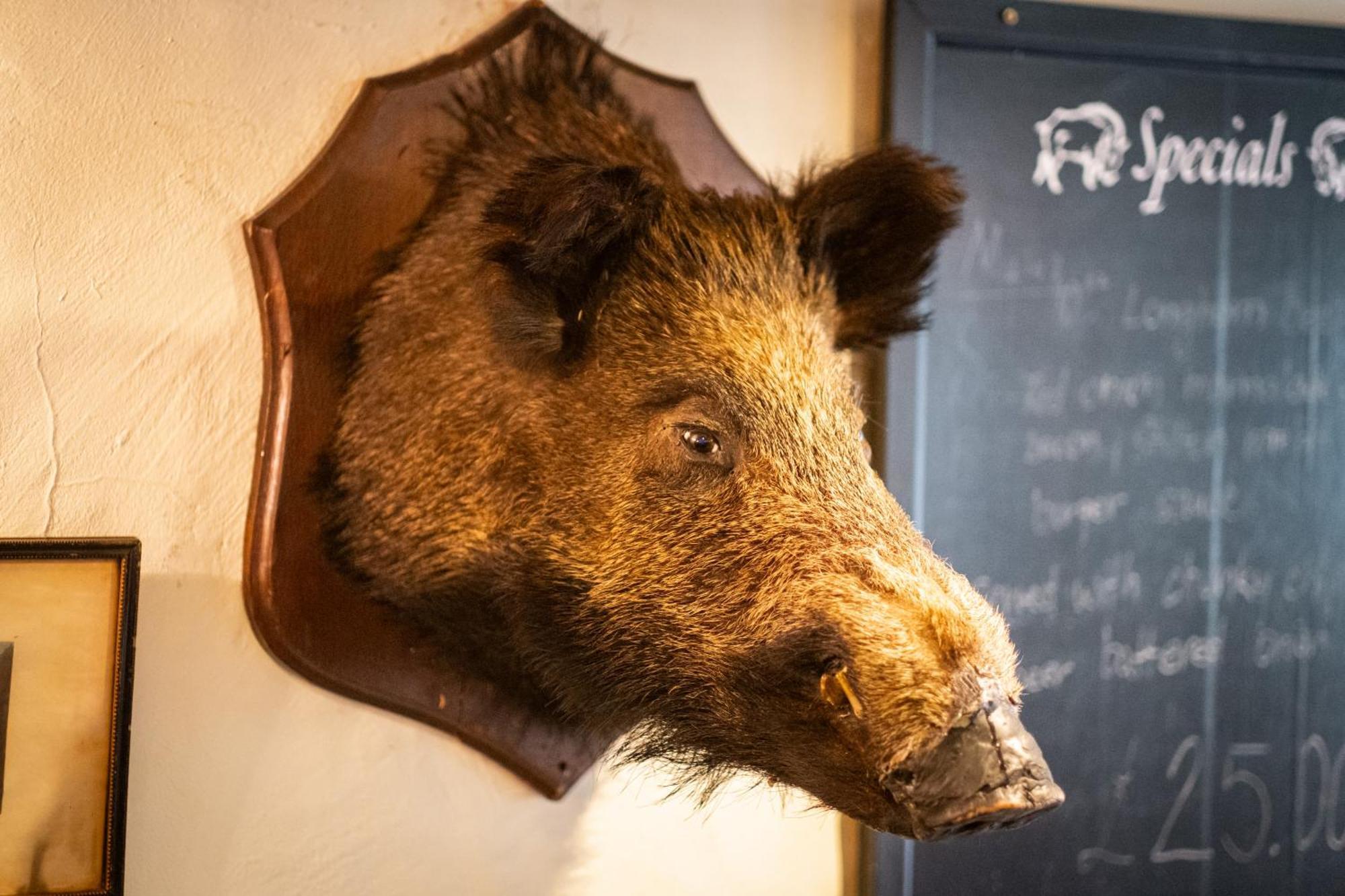 Wild Boar Estate Hotell Bowness-on-Windermere Exteriör bild